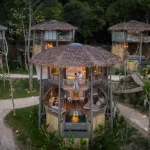 Treehouse Villa Bangkok Pattaya Tour